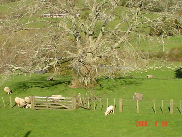 dsc00628.jpg