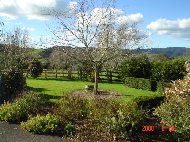 dsc00629.jpg